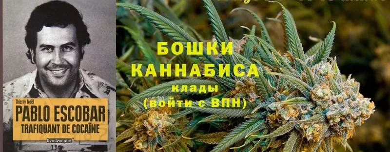 Канабис Bruce Banner  что такое наркотик  Бикин 